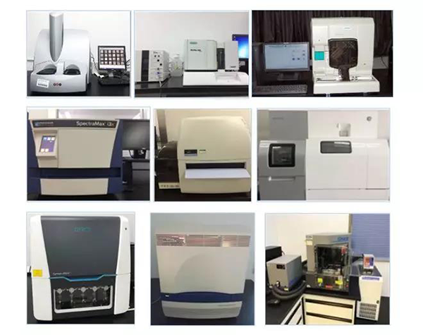 3118云顶集团生物技术药物分析部门占有SpectraMaxM4/M5/i3x, MSD, Luminex, Biacore 8K, Envision, Gyrolab，ABI7500 qPCR等全方位多职能的技术平台，利用LIMS系统执行全面的尝试室信息化治理，提供全面切合FDA/CFDA/OECD GLP规范要求的生物技术药物分析服务。
