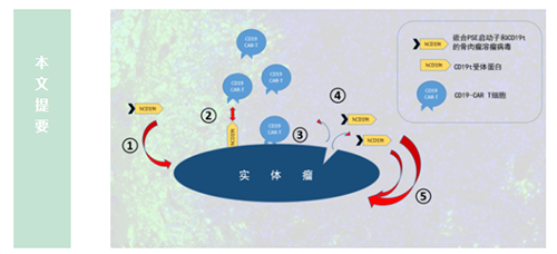 20ff5ed8-e226-4ec4-8702-f6b061ae068e 3118云顶集团(中国区)官方网站