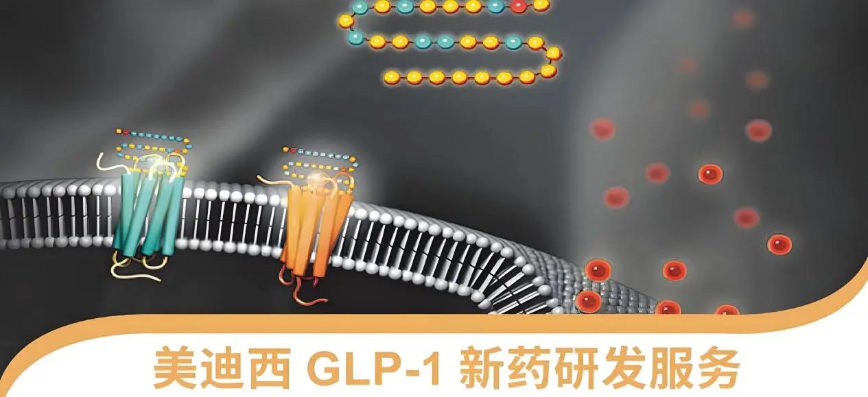 70.5%的成人在偷偷长胖！国度卫健委“减肥令”下，GLP-1药物若何得救？