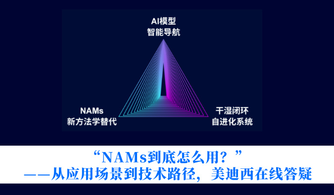 “NAMs到底怎么用？”——从利用场景到技术蹊径，3118云顶集团在线答疑